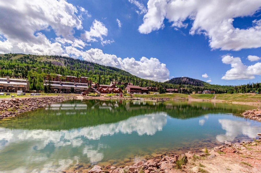 Forced Family Fun Main image