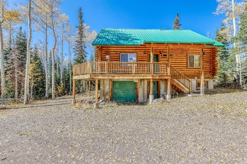 Forced Family Fun image 20