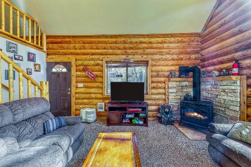 Forced Family Fun image 3