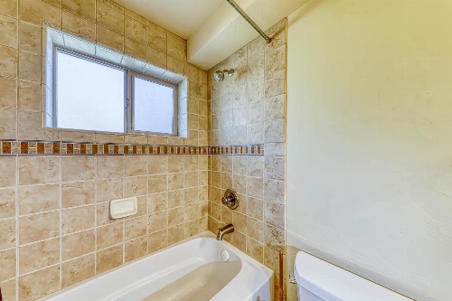 Forced Family Fun image 4