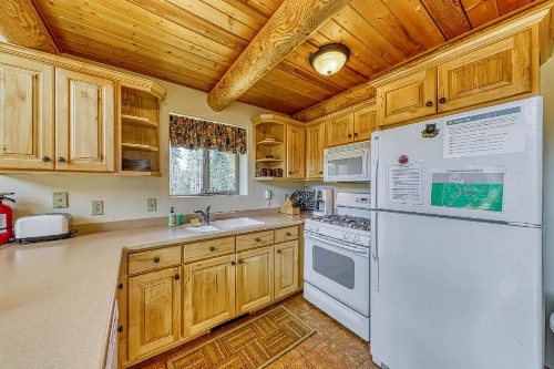 Forced Family Fun image 7